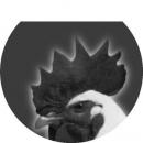 assets/Uploads/_resampled/SetWidth130-aves.jpg