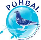assets/Uploads/_resampled/SetWidth140-Logotipo-Pombal.jpg